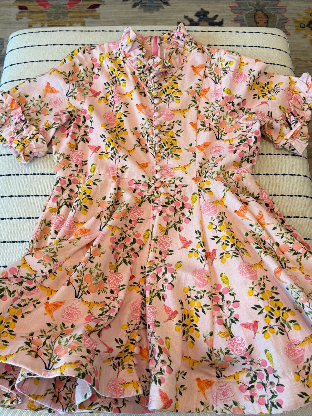 Elizabeth Wilson Pink Floral Ruffle Neck Fit-and-Flare Dress
